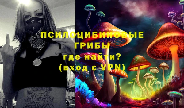 дмт Алексеевка