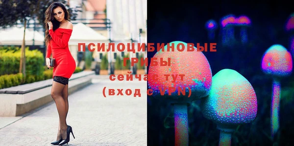 скорость Алексин