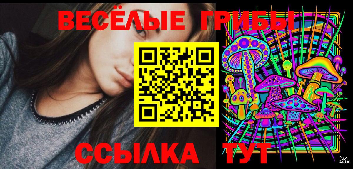 Галлюциногенные грибы Psilocybe  Псилоцибиновые грибы прущие грибы  Элиста  Вход с VPN 